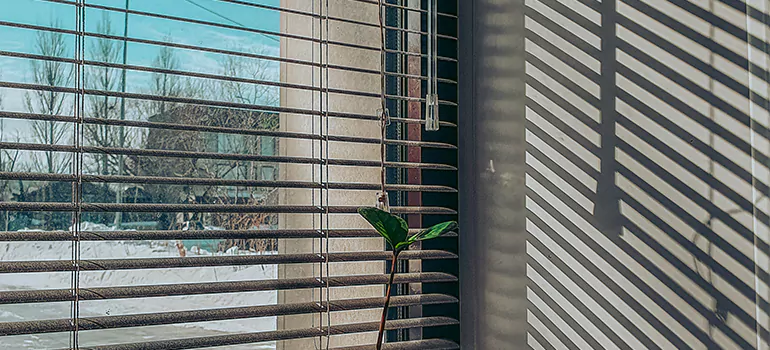 Commercial Window Blinds in Palo Alto, CA